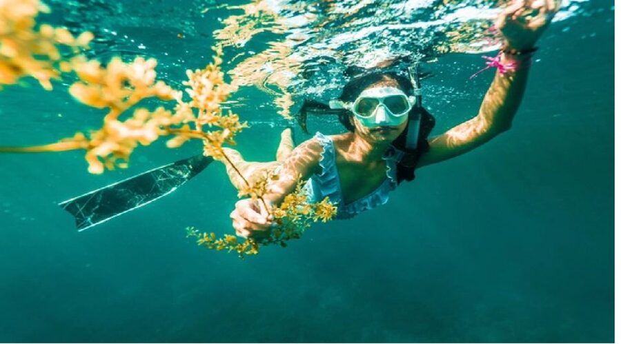 Nha Trang: Island-Hopping & Snorkeling Day Trip by Speedboat - Who should book this speedboat outing?