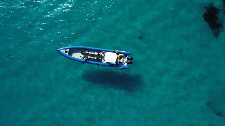 Nice: Lerins Islands Boat Tour with Snorkeling - Key points at a glance