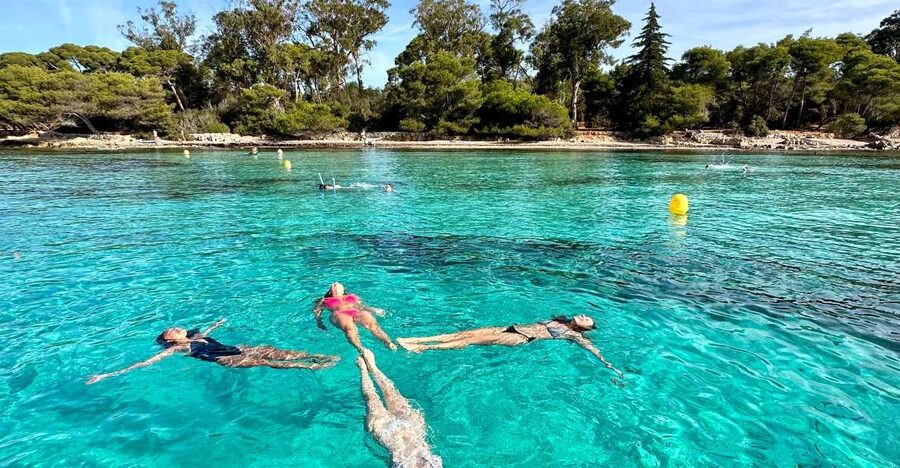 Nice: Lerins Islands Boat Tour with Snorkeling - A short stop on Sainte-Marguerite Island