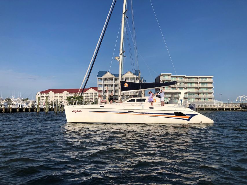 Ocean City: Assateague Island Morning Cruise - What the two-hour route feels like