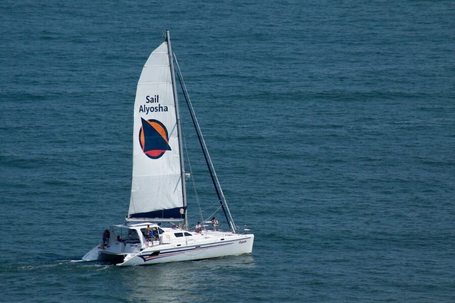 Ocean City: Assateague Island Morning Cruise - Migratory birds and bay views