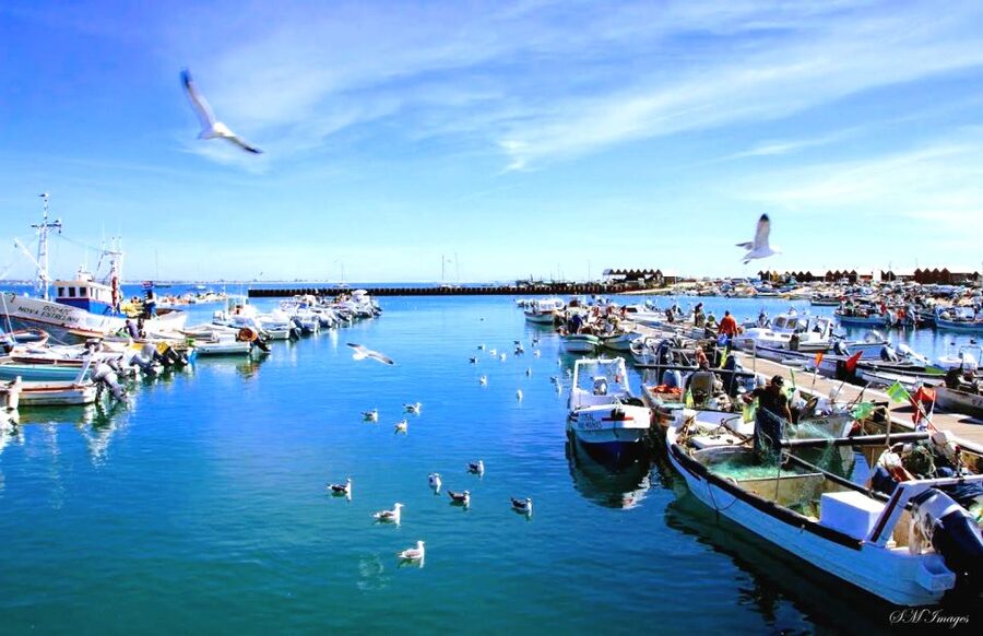 Olhão: Ria Formosa 3 Islands Guided Day Trip by Boat - How the $58 price works in practice