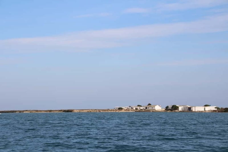 Olhão: Ria Formosa 3 Islands Guided Day Trip by Boat - What the guide can add to your day