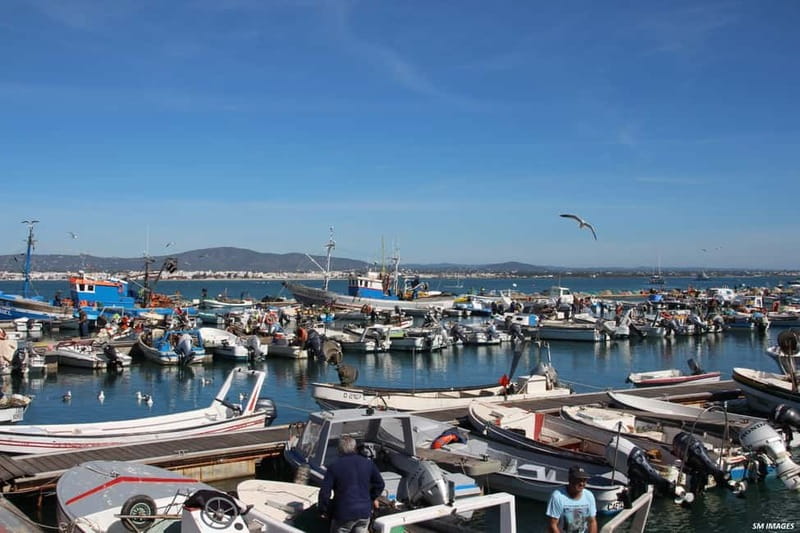 Olhão: Ria Formosa 3 Islands Guided Day Trip by Boat - The main drawbacks to keep in mind