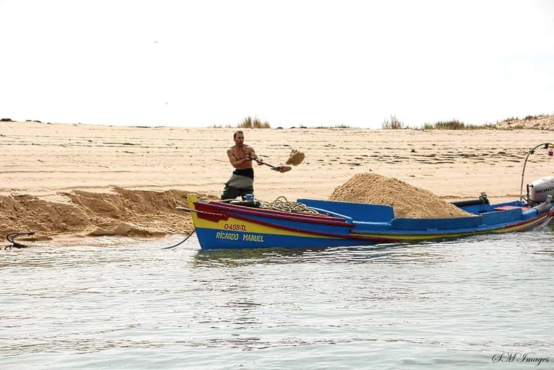 Olhão: Ria Formosa 3 Islands Guided Day Trip by Boat - Armona Island and the appeal of a sandbar stop