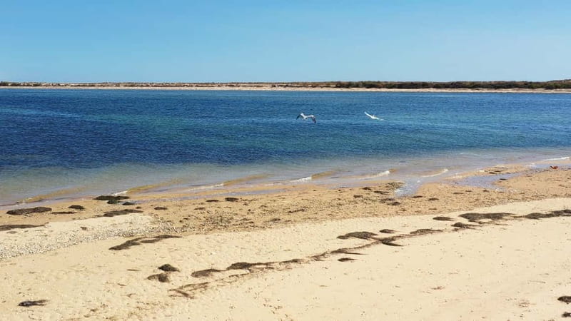 Olhão: Ria Formosa National Park and Islands Boat Cruise - What the $35 price really covers