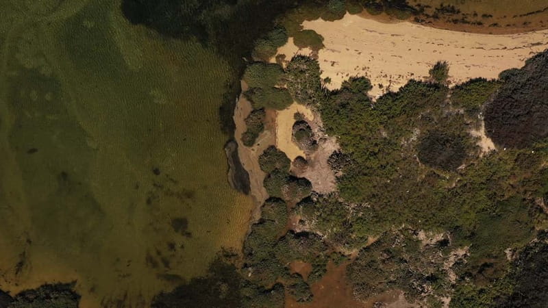 Olhão: Ria Formosa National Park and Islands Boat Cruise - How this cruise compares with a beach day