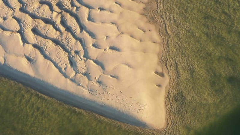 Olhão: Ria Formosa National Park and Islands Boat Cruise - Who should book this Olhão cruise?