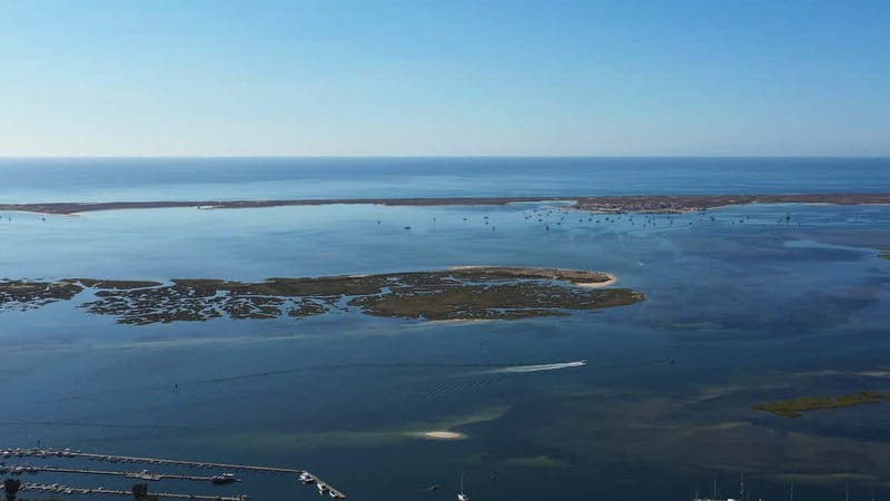 Olhão: Ria Formosa National Park and Islands Boat Cruise - Culatra Island, a working community rather than a resort