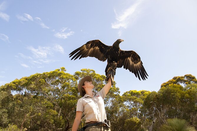 One Day Kangaroo Island Sip & See tour with return ferry transfers from Adelaide - Emu Ridge Eucalyptus: lunch with an island industry