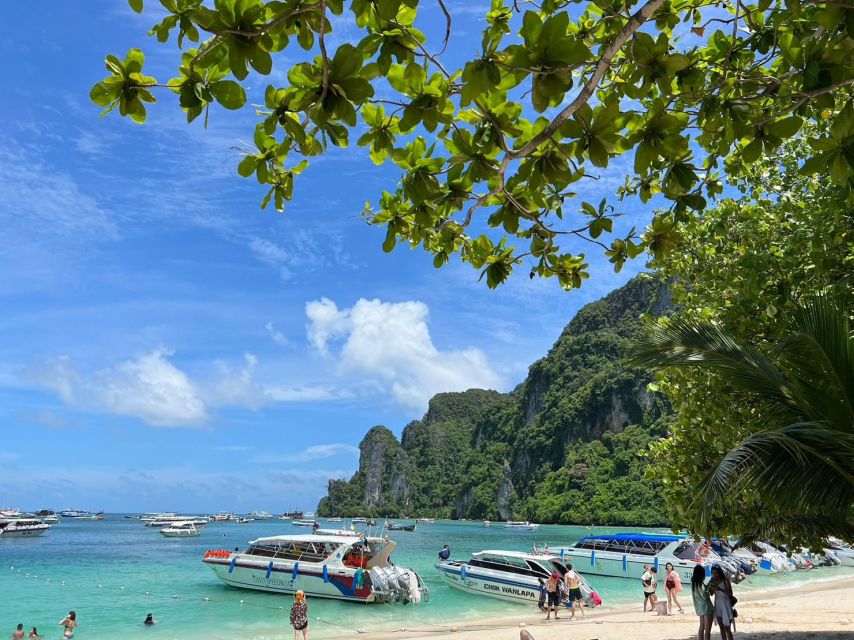 One Day Phi Phi Island by speed boat ( Join ) - Monkey Bay, macaques, and a quick first stop