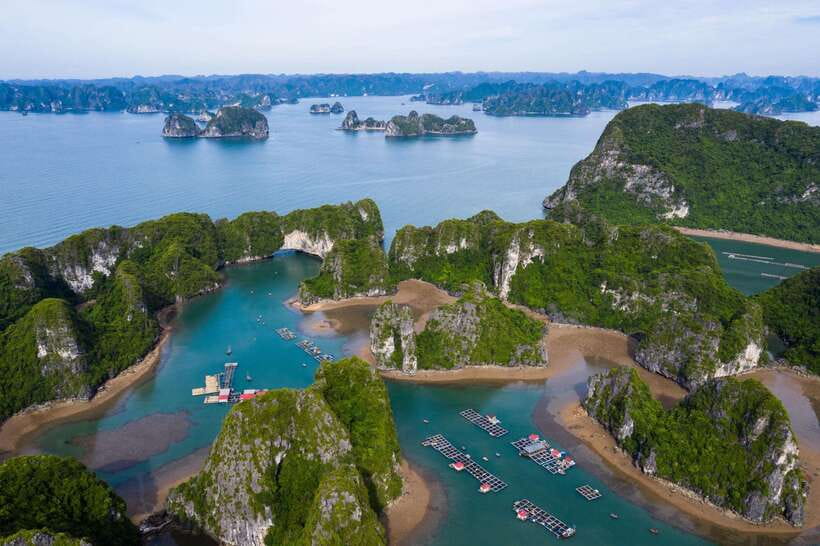 Optional Halong Bay Day Cruise with Caves, Islands & Lunch - The guide and the pace of the day