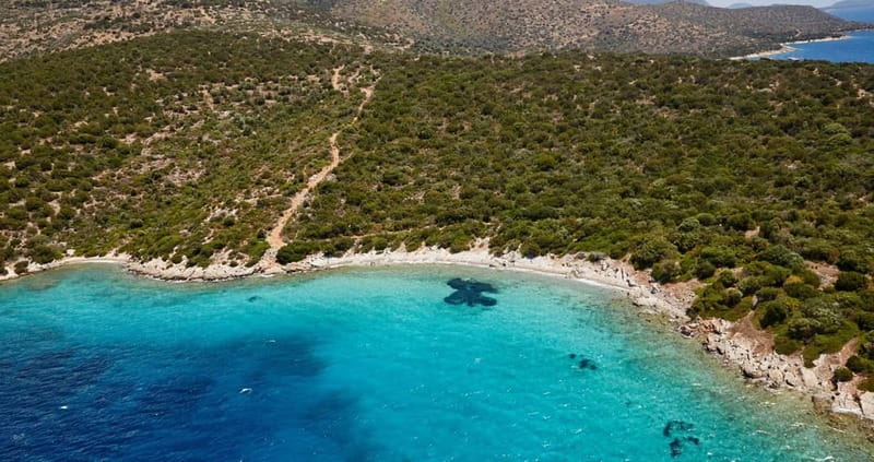 Orak island Boat Trip Bodrum - Who should book this Bodrum boat trip?