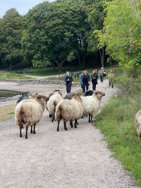 Oslo Island Walks: Island Hopping Tour - Key points at a glance