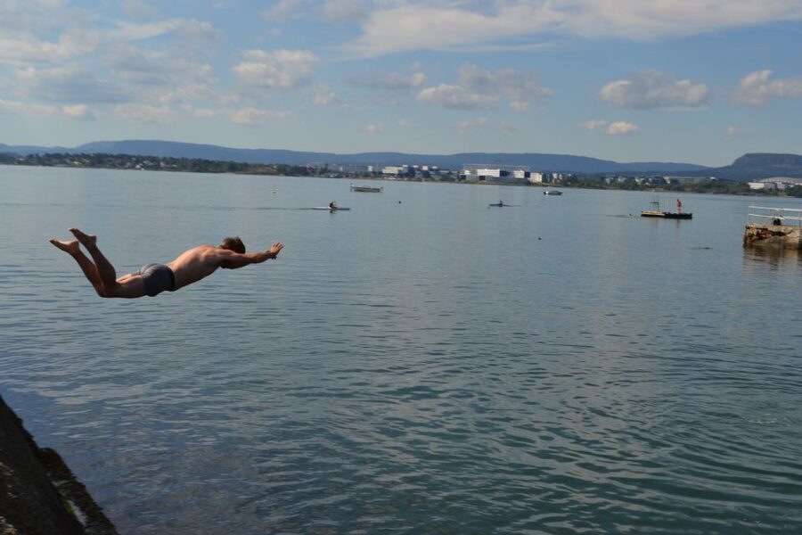 Oslo Nature Walks: Island Hopping Tour - Ferry rides that make the tour feel local