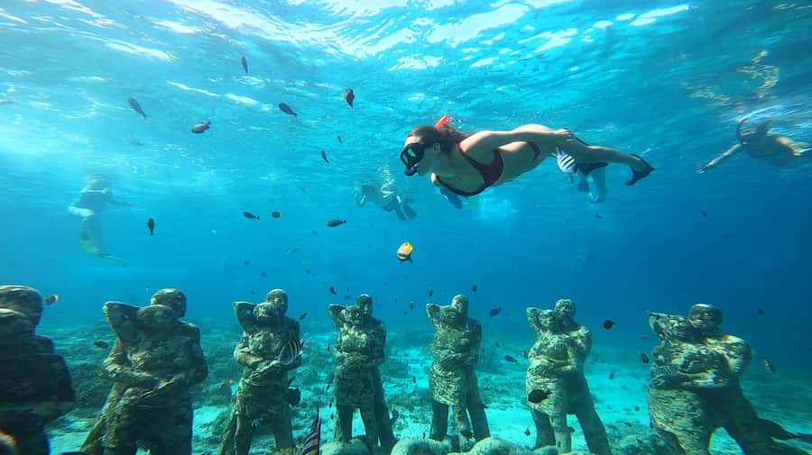 Ozzy Snorkeling 3 Islands Visit Baby Turtles - Gili Meno’s underwater circle of statues