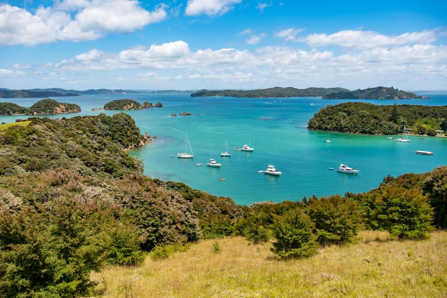 Paihia: Bay of Islands Dolphin Eco Cruise & Island Stopover - A full morning and afternoon across the Bay of Islands