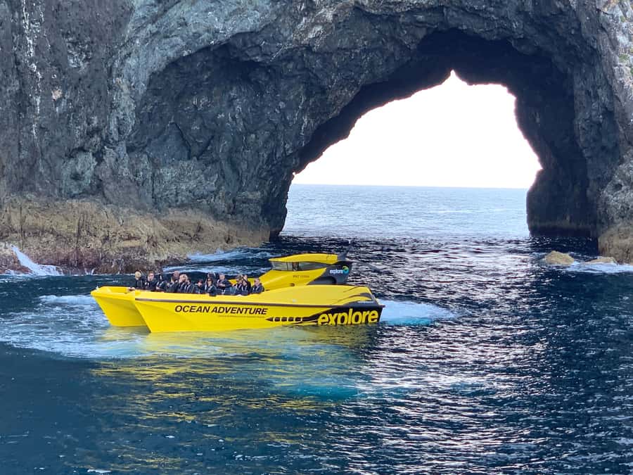 Paihia: Hole in the Rock Fast Boat with Island Stopover - Piercy Island and the Hole in the Rock
