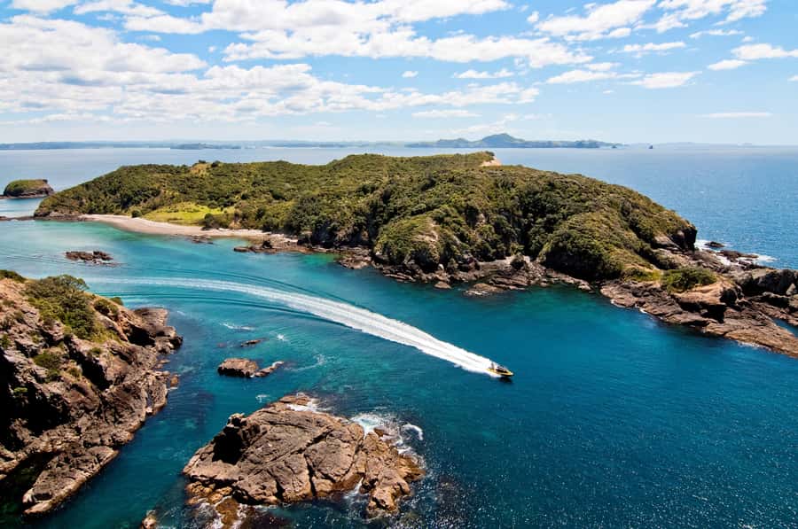 Paihia: Hole in the Rock Fast Boat with Island Stopover - What the $89 price really covers