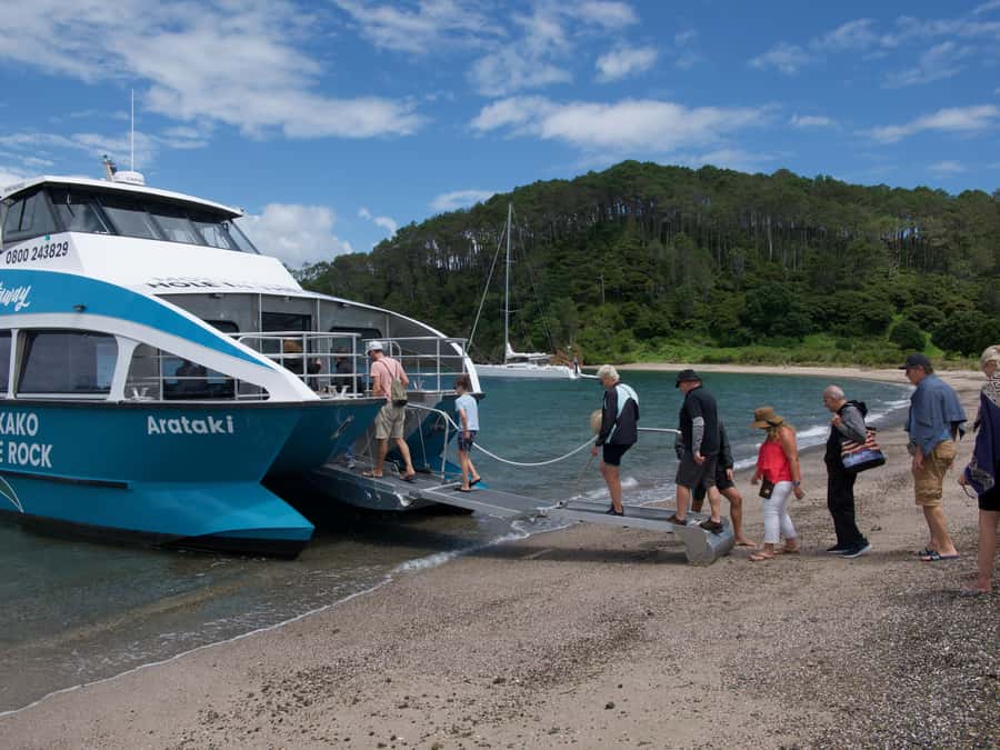 Paihia/Russell: Hole in the Rock Cruise with 2 Island Stops - Key points at a glance