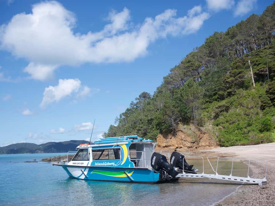Paihia/Russell: Hole in the Rock Cruise with 2 Island Stops - Cape Brett, its lighthouse, and the open-water ride