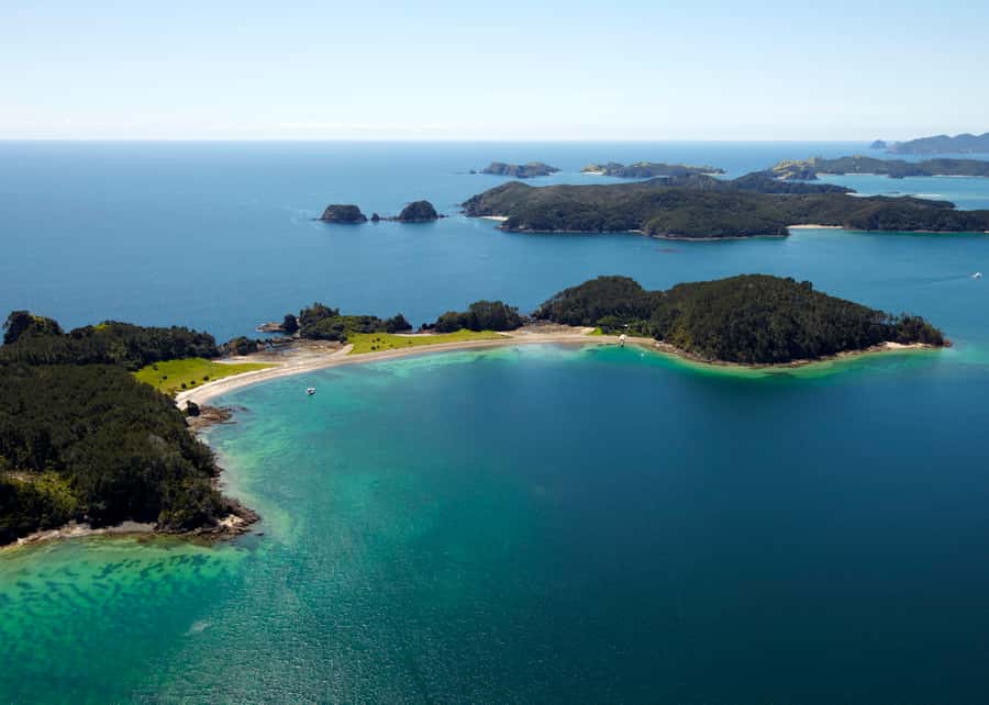 Paihia/Russell: Hole in the Rock Cruise with 2 Island Stops - Wildlife is a bonus, not the main promise