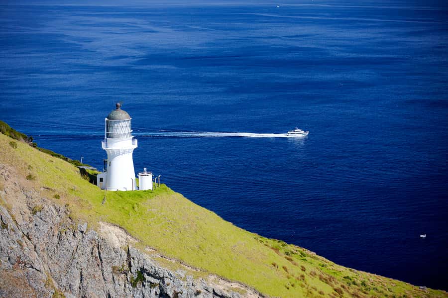 Paihia/Russell: Hole in the Rock, Dolphins & Island Cruise - Is the $95 price good value?