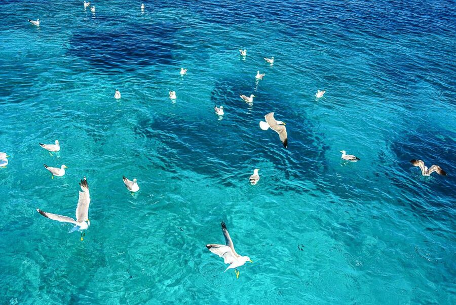 Palau: La Maddalena Archipelago and Caprera Island Boat Tour - Starting in La Maddalena’s Caruggi