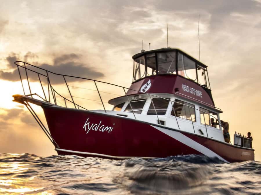 Palm Beach: Island Cruise on the Intracoastal - The boat, seating, and what to bring