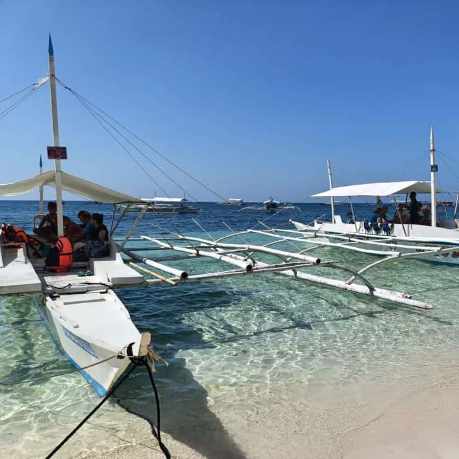 Panglao: Island Hopping w/Balicasag (Shared) - Balicasag Island and its protected snorkeling area