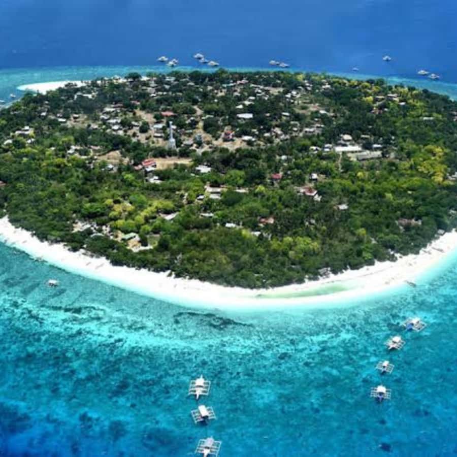 Panglao: Island Hopping w/Balicasag (Shared) - How much value do you get for $45?