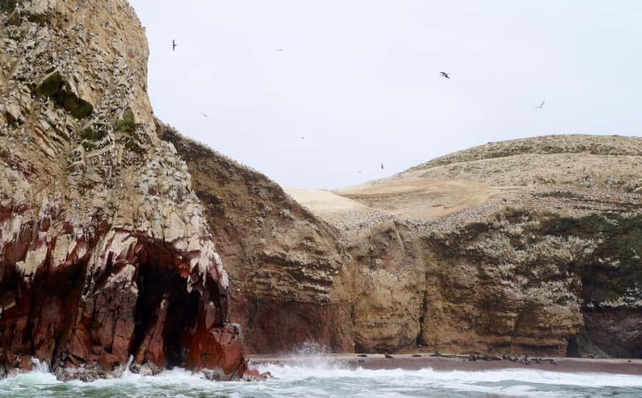 Paracas: Ballestas Islands and Candelabra of Paracas Boat - The Candelabra from the water