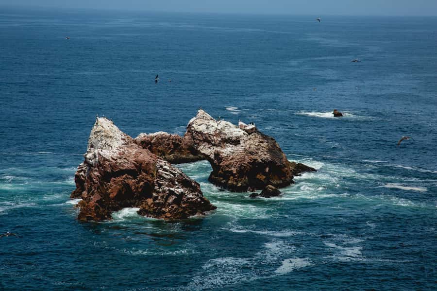 Paracas: Ballestas Islands and Candelabra of Paracas Boat - Who should book this experience?