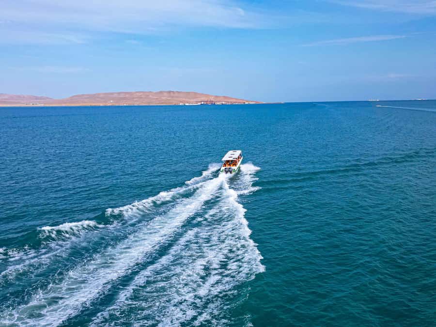 Paracas: Ballestas Islands Guided Boat Tour - Guide language, safety, and comfort