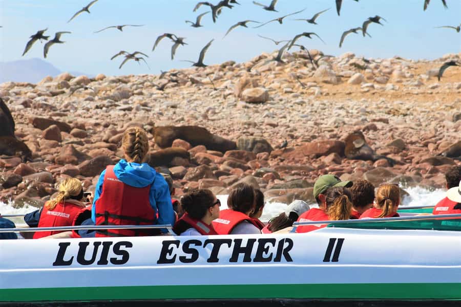 Paracas: Ballestas Islands Guided Boat Tour - Simple ways to get more from the experience