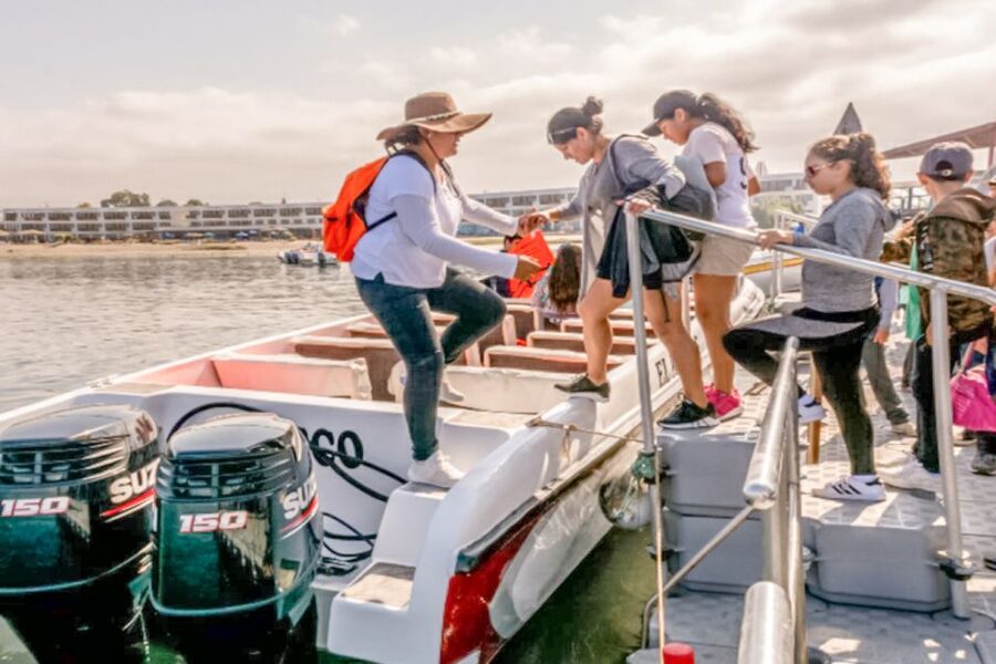 Paracas: Ballestas Islands Morning Boat Tour - Should you book the Ballestas Islands boat tour?