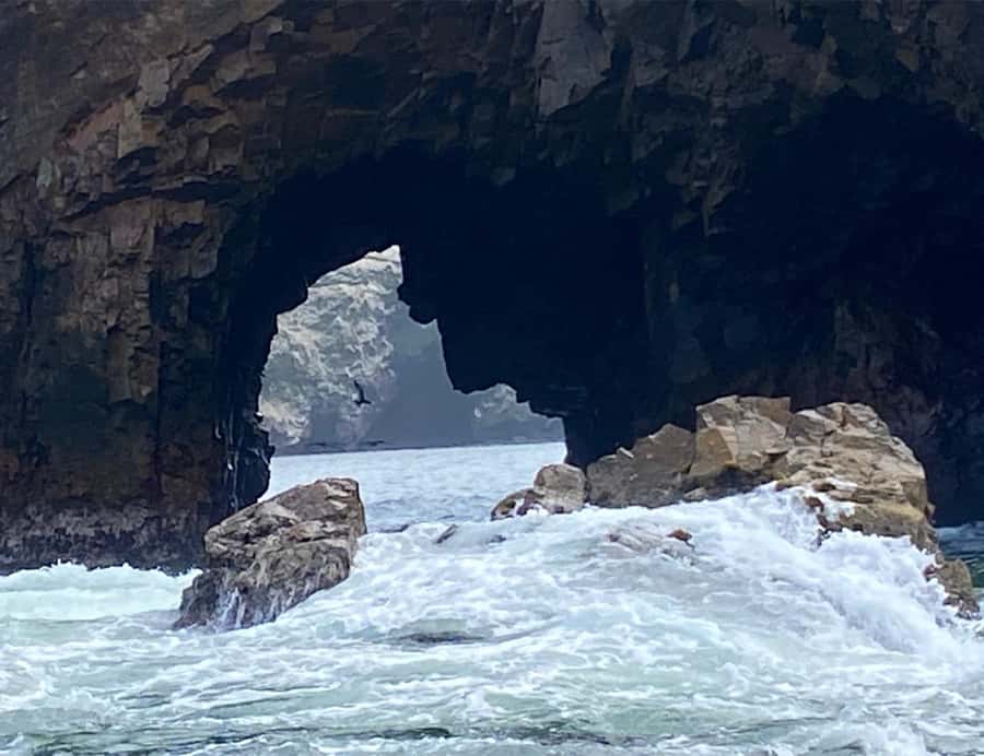Paracas: Ballestas Islands Morning Boat Tour - Who will enjoy this morning tour?