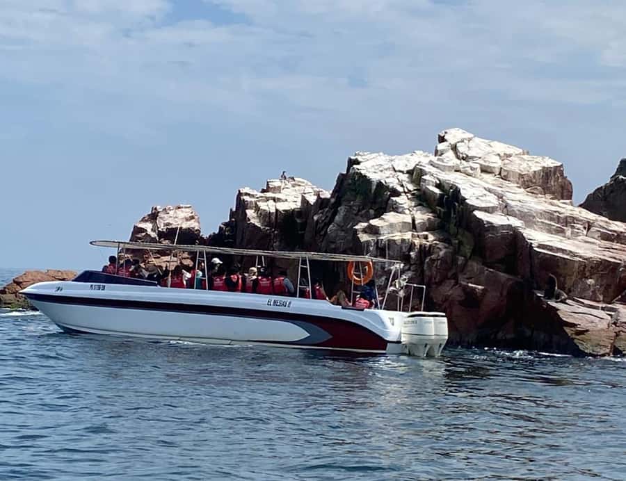 Paracas: Ballestas Islands Morning Boat Tour - How to make the most of the two hours