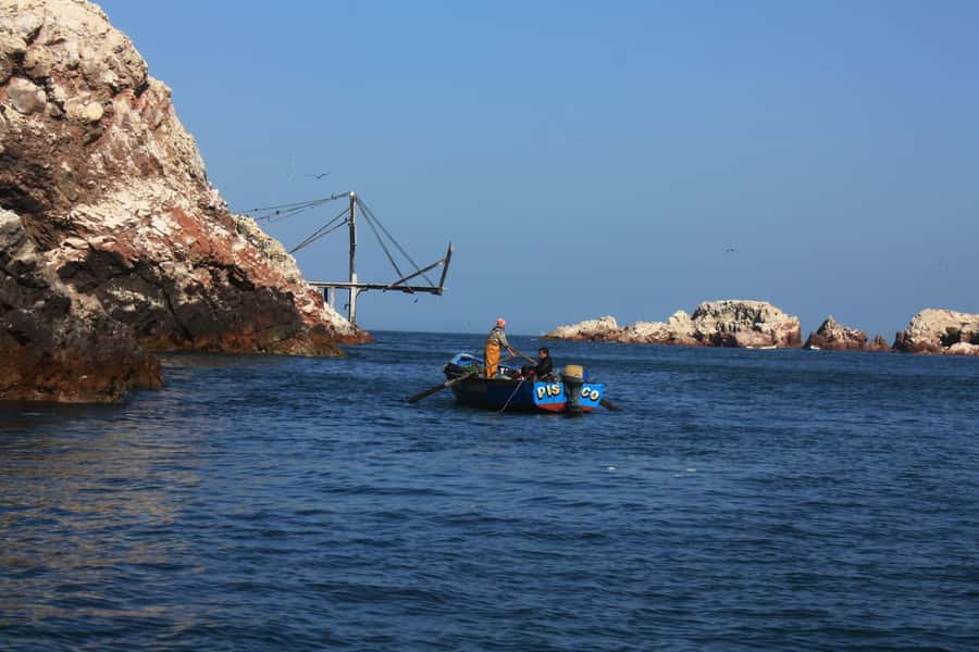 Paracas: speedboat BALLESTAS ISLANDS TOUR - Who will enjoy this boat trip most