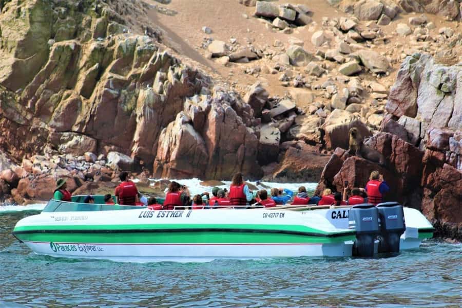 Paracas: speedboat BALLESTAS ISLANDS TOUR - Starting at Plaza El Chaco in Paracas