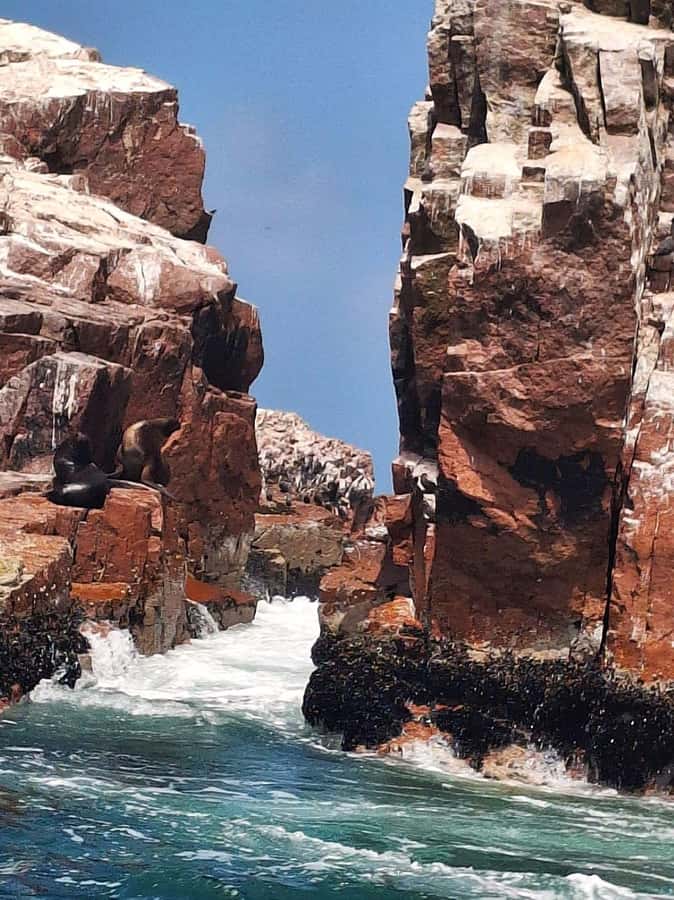 Paracas: Tours to Ballestas Islands by Speed Boat - Meeting at Hotel Overland in Chaco Paracas