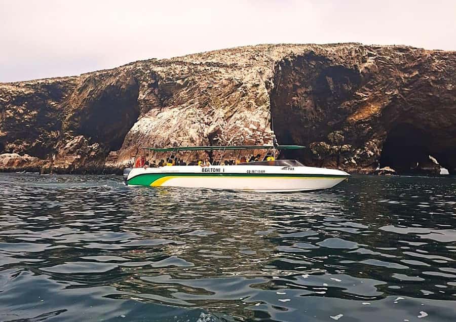 Paracas: Tours to Ballestas Islands by Speed Boat - Should you book the Ballestas Islands speedboat tour?