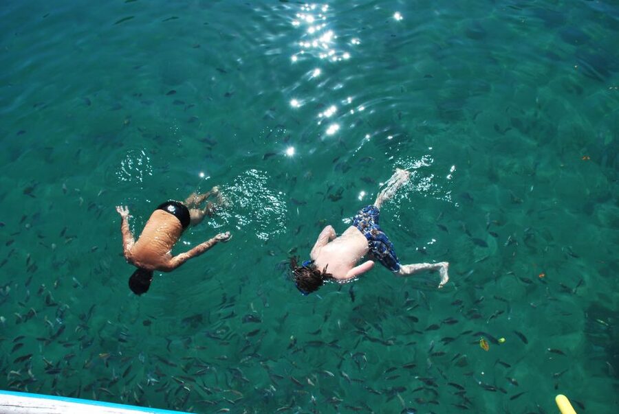 Paraty Bay: Islands & Beaches Boat Tour with Snorkeling - Language and crew expectations