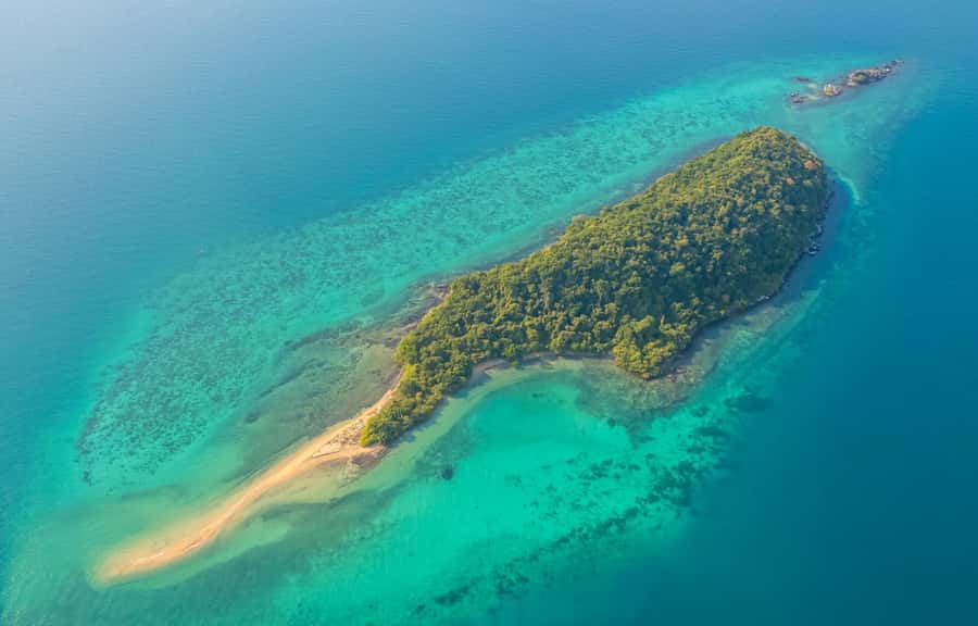 Pattaya: 3 Islands Day Tour on Catamaran with Buffet Lunch - Monkey Island: the lively final stop
