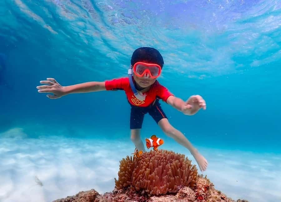 Pattaya: Private Speedboat Nemo Island with Snorkel & BBQ - Who gets the best value from this tour