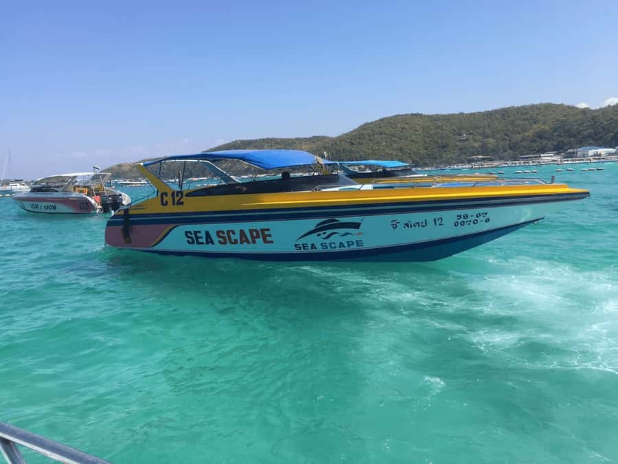 Pattaya: Private Speedboat to Coral Islands Cruise - Key points before you book