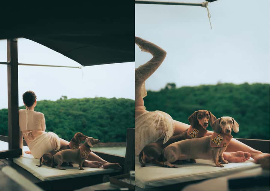 Pattaya: Private Traditional Boat Island Escape in Sattahip - Booking advice and final verdict