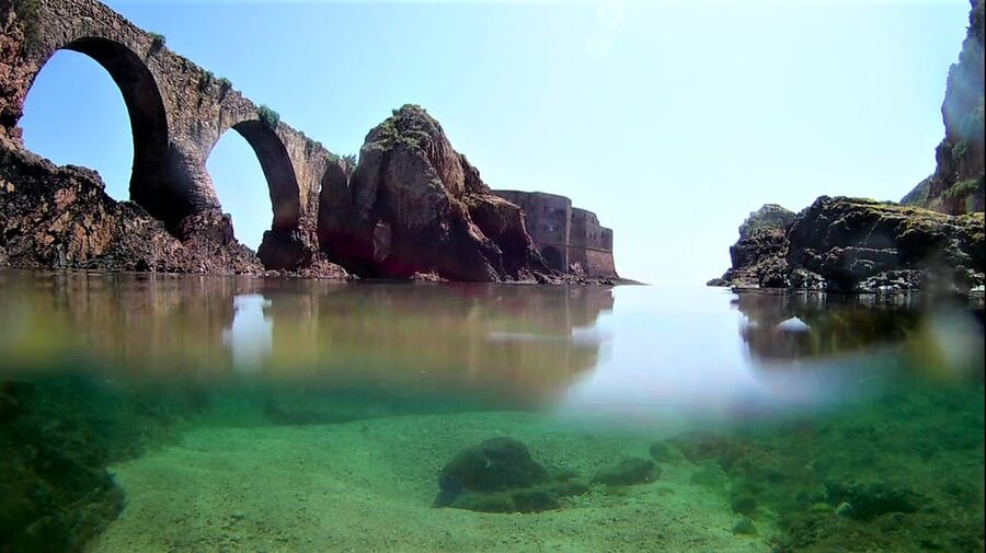 Peniche: Berlengas Island Catamaran Tour + Snorkeling - What the included snorkeling really means