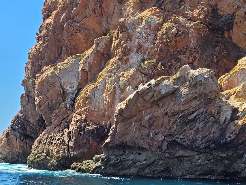 Peniche: Berlengas Island Round-Trip Ferry with Island Stop - São João Baptista Fort and the steep walk down