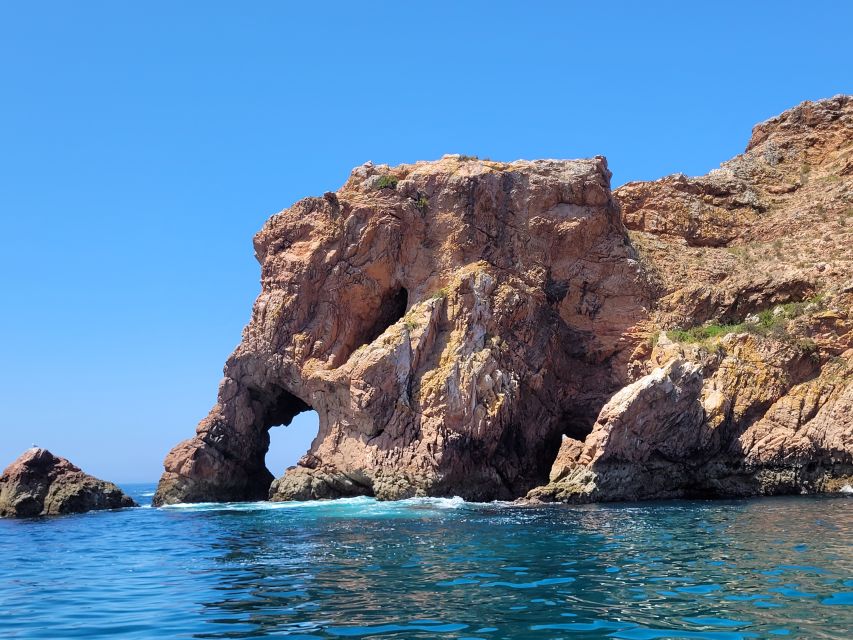 Peniche: Berlengas Island Round-Trip Ferry with Island Stop - Free time, food, and the island’s limits